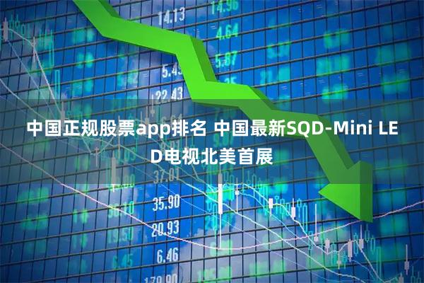 中国正规股票app排名 中国最新SQD-Mini LED电视北美首展